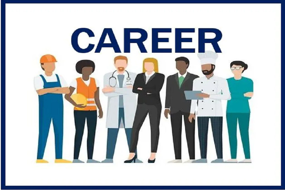Career Preparedness: The Job Search Process