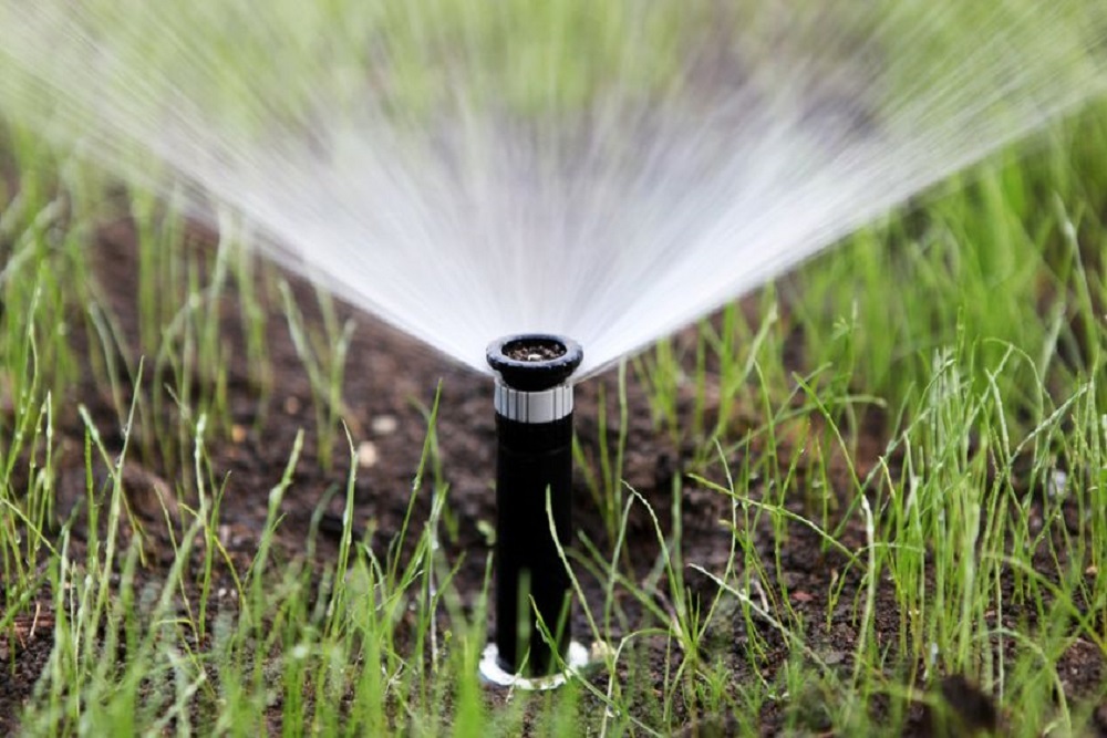Water Rule W-8
