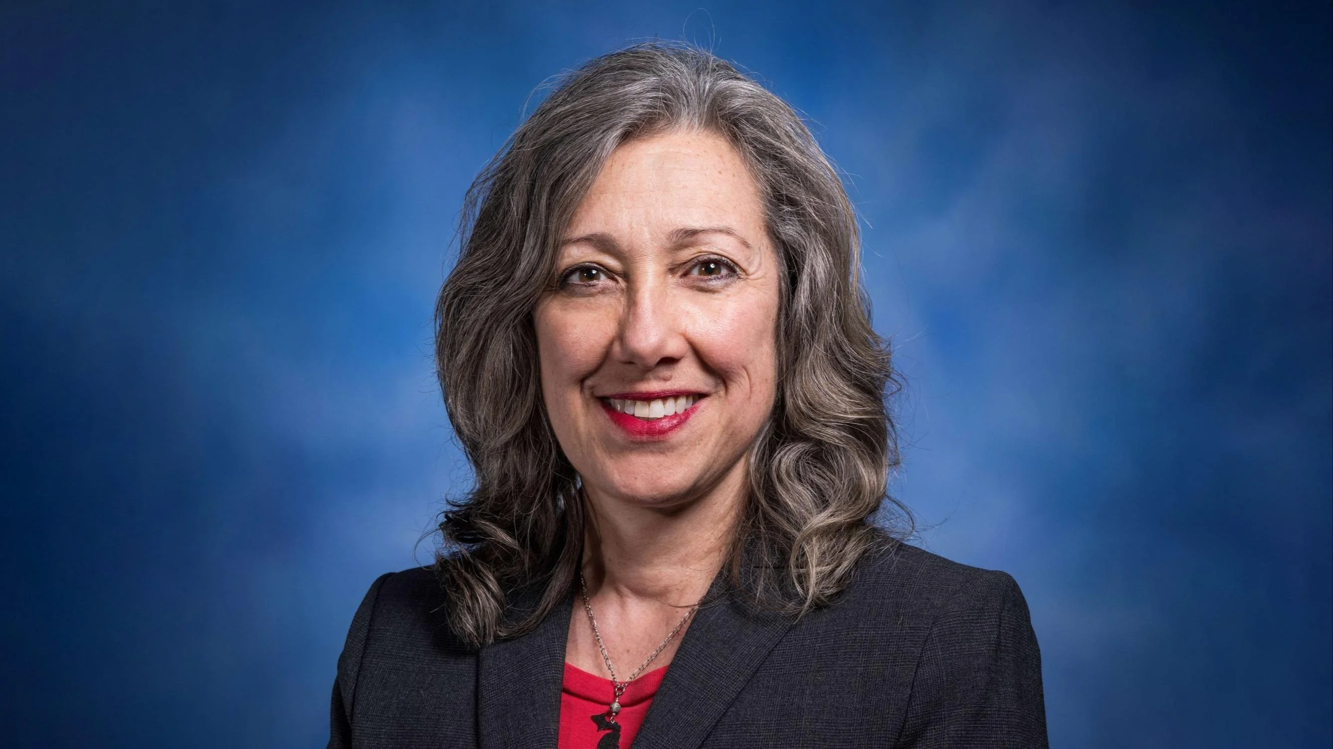 Gina Johnsen, Michigan State Representative for the 78th District