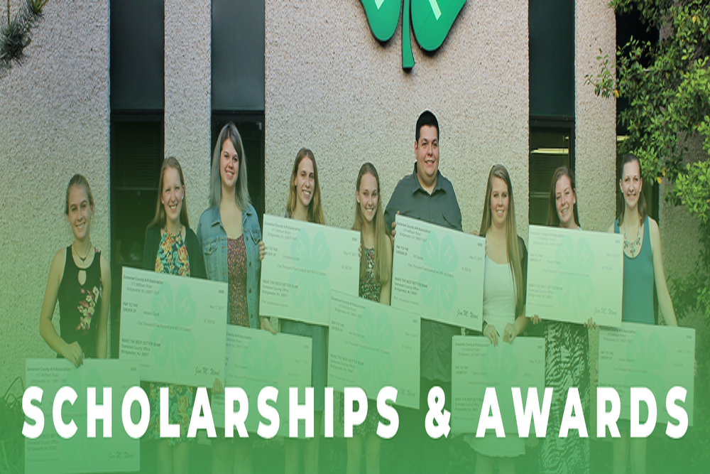 Congratulations Somerset County 4-H Scholarship Winners 2022