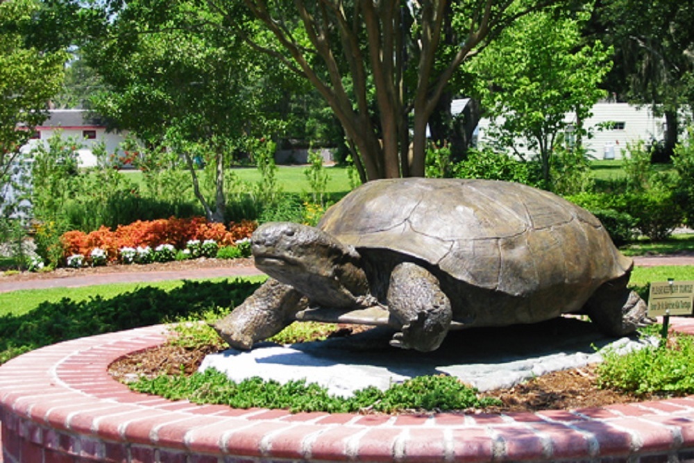 Are You Ready to Relocate to Jasper County, SC? Are You Ready to Relocate to Jasper County, SC?