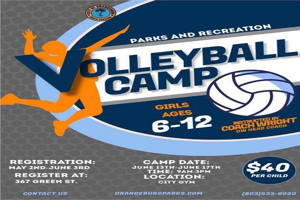 Volleyball Camp