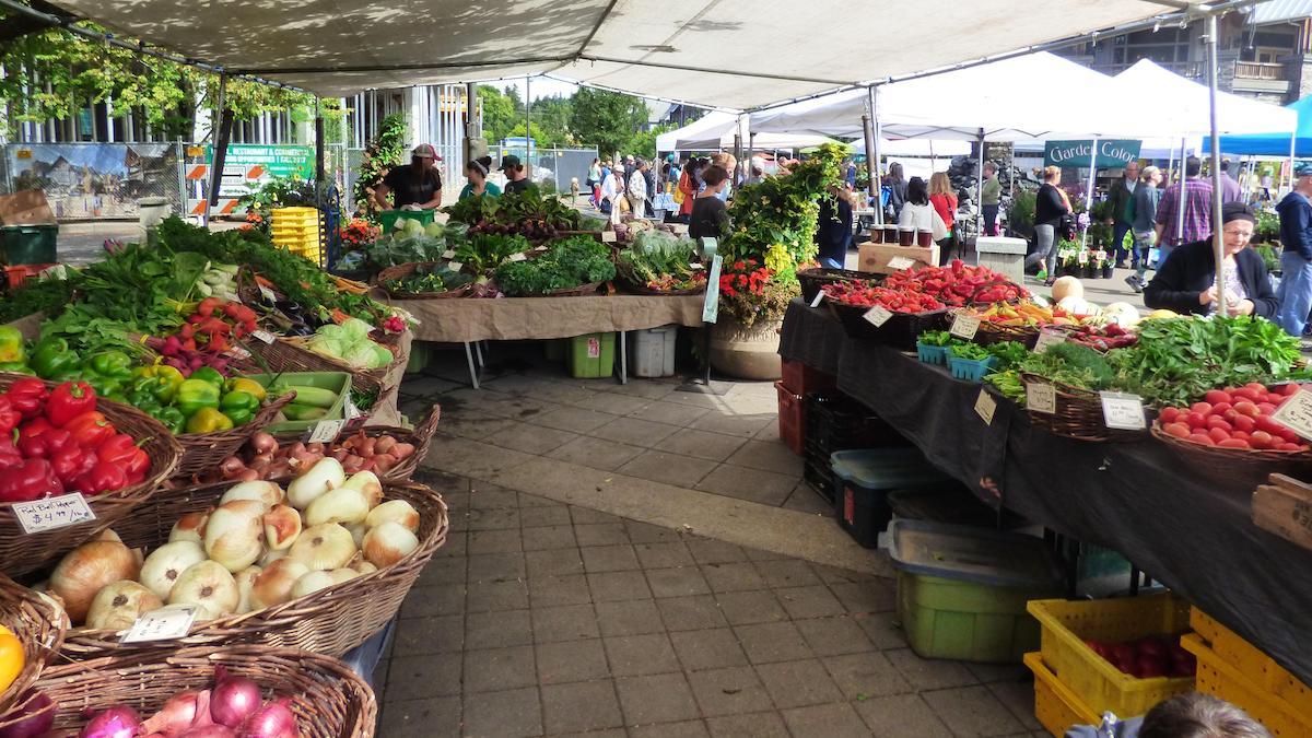 Orange Park Farmers’ & Arts Market on March 19