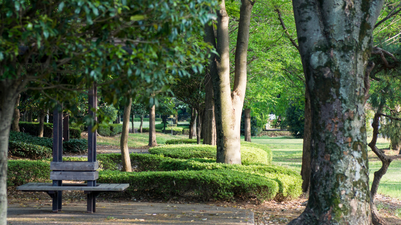 Greensboro parks receiving long-awaited upgrades: ‘Whether you’re fishing, biking or walking a trail this spring, you will notice something new’