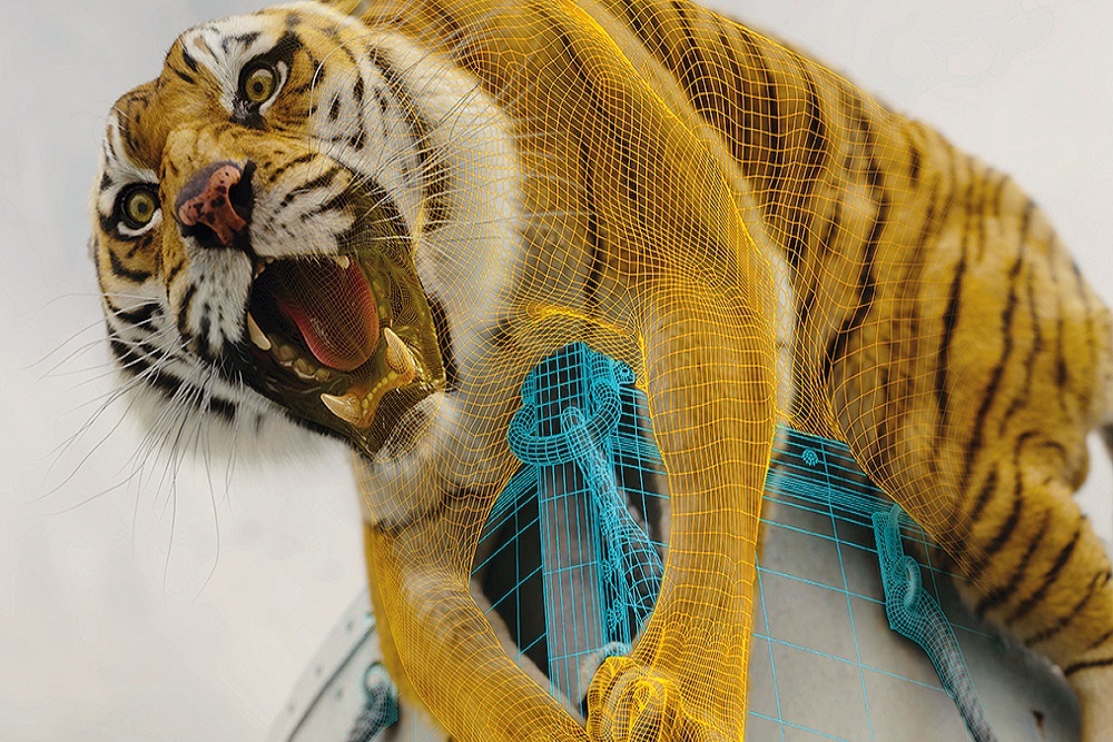 Annual Tiger Chase Color Blast to be held May 7