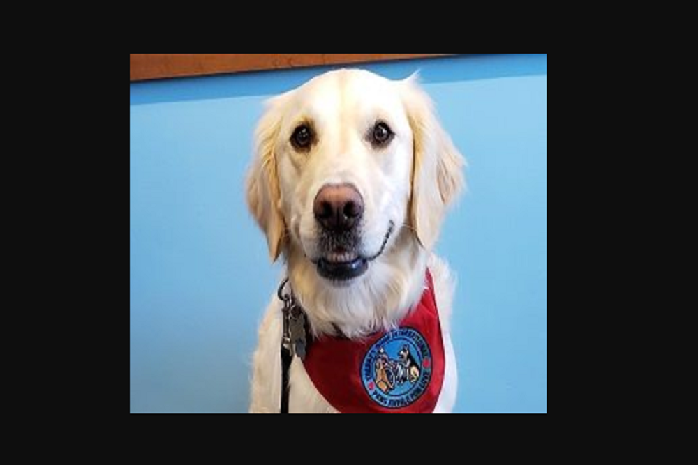 Paws to Read with Mercy