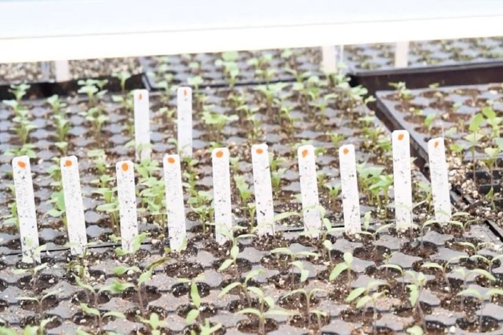 Oregon State University Extension Service Oregon State University Extension Service