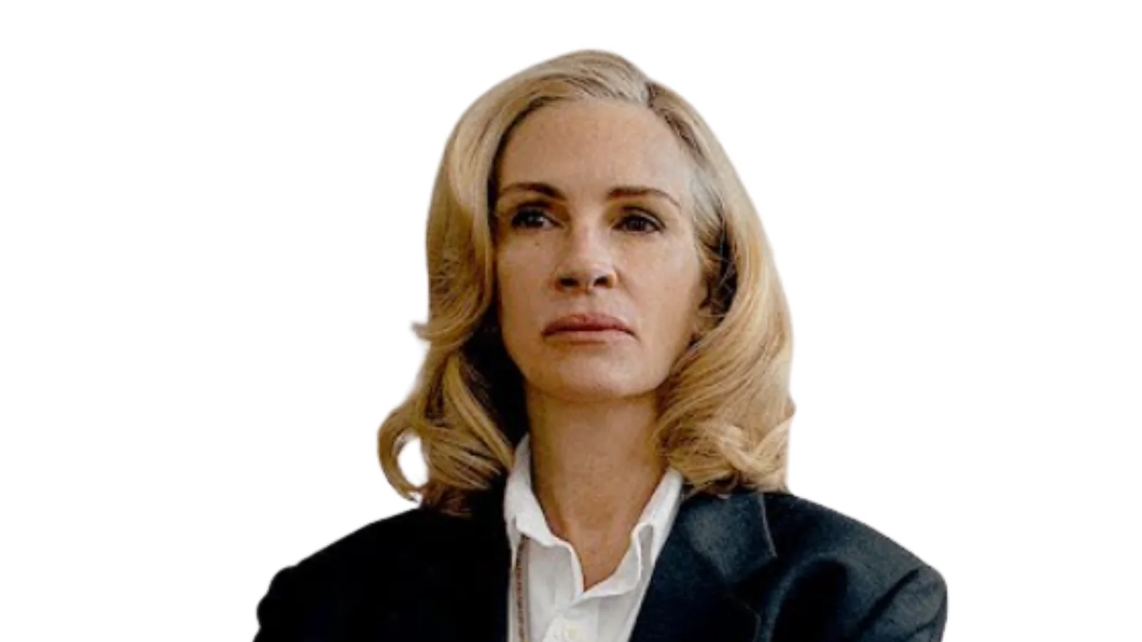 Julia Roberts stars in the upcoming film "After the Hunt," - Official Website