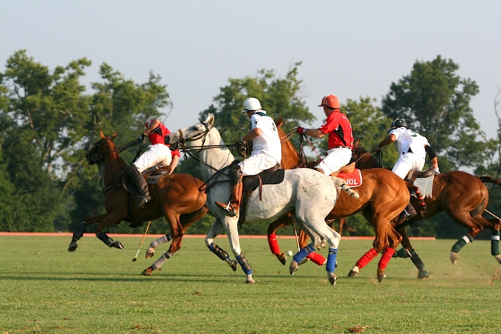 GARRISON FOREST SCHOOL: Congratulations to our JV Polo team on winning the U.S. Polo Assn. Southeast Girls Prelims!