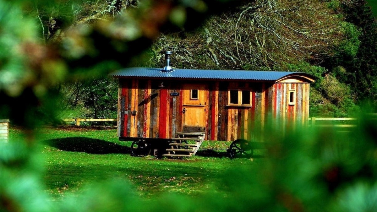 South Carolina residents should be aware of scams involving the illegal sale of ‘tiny homes’