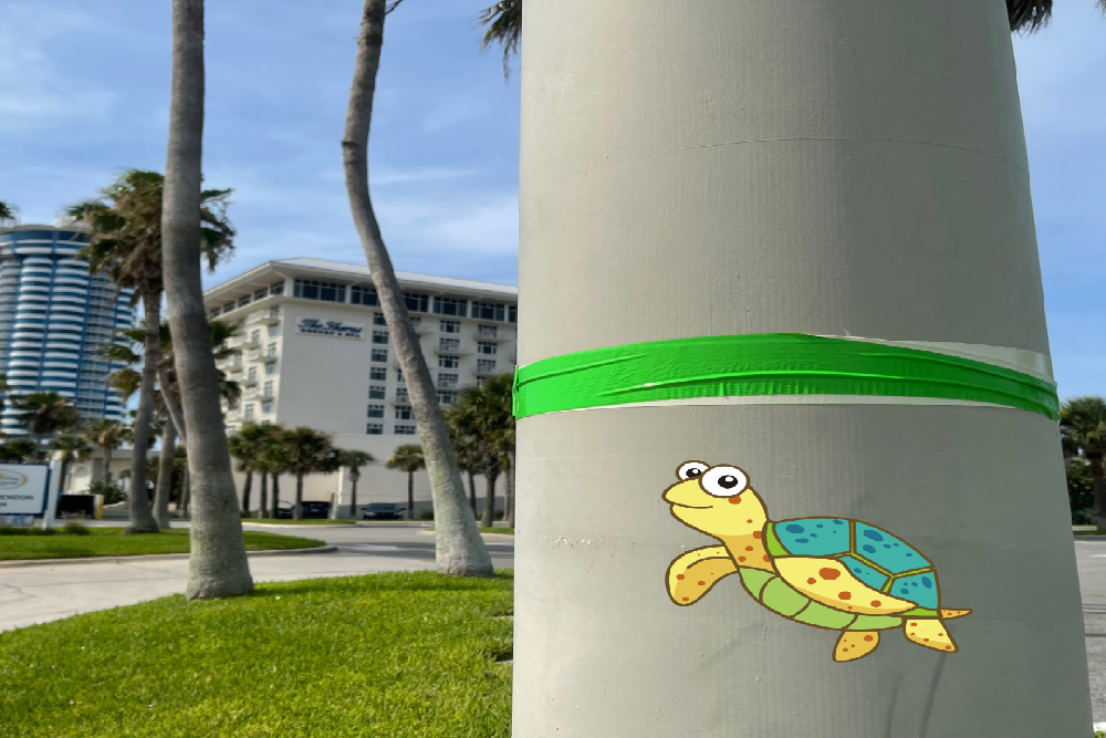 Some Streetlights Temporarily Off during Sea Turtle Nesting