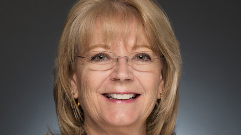 Arizona Senate President Karen Fann.