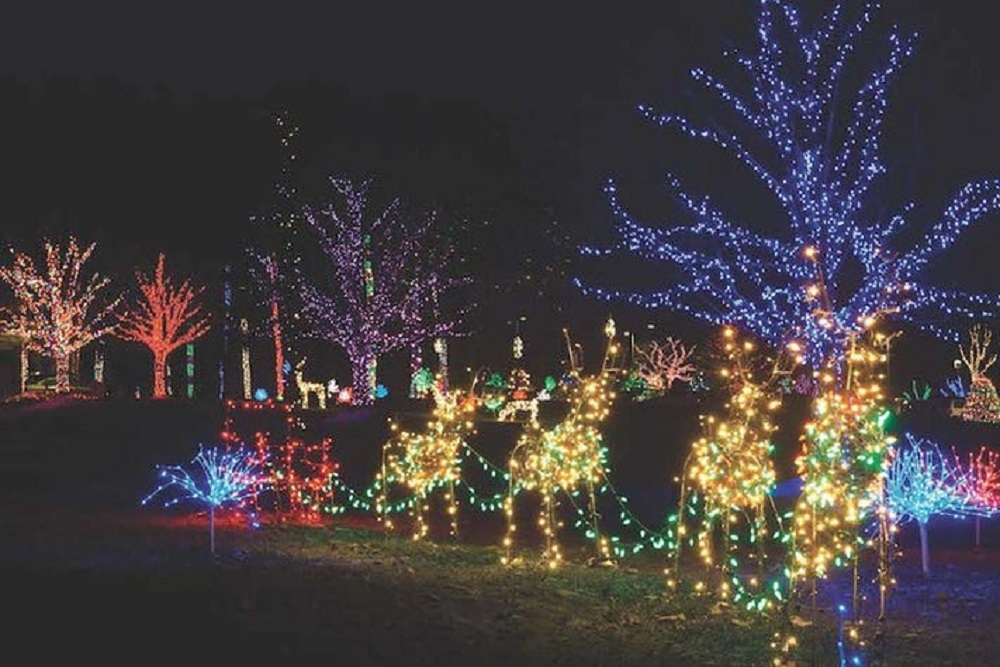 Daily through Jan 2 – Winter wonders light show at Boerner Botanical Gardens on December 31