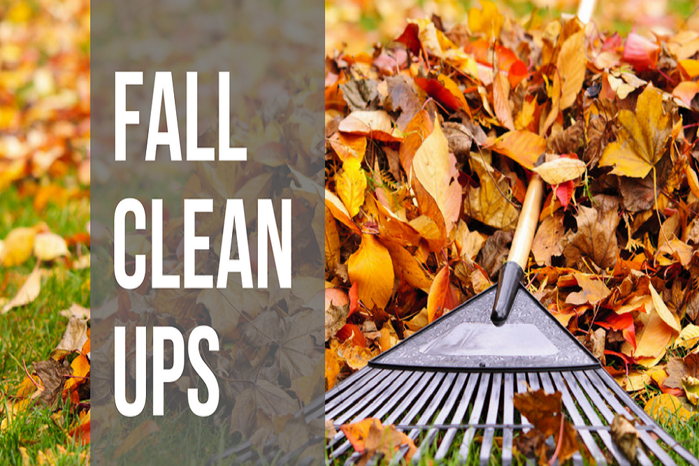 Bamberg County Chamber of Commerce: Fall Clean-up for Bamberg County Bamberg County Chamber of Commerce: Fall Clean-up for Bamberg County