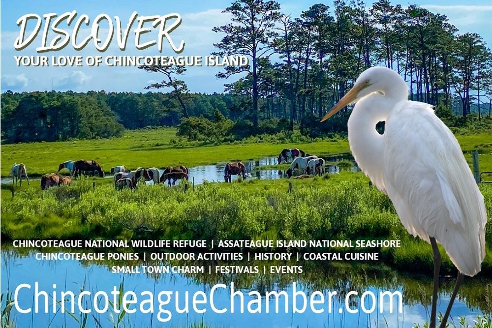 Plan Your 2022 Vacation to Chincoteague Island, Virginia