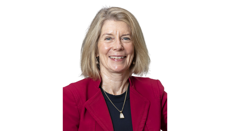 FAU New Home to Award-winning Website ‘the Invading Sea’