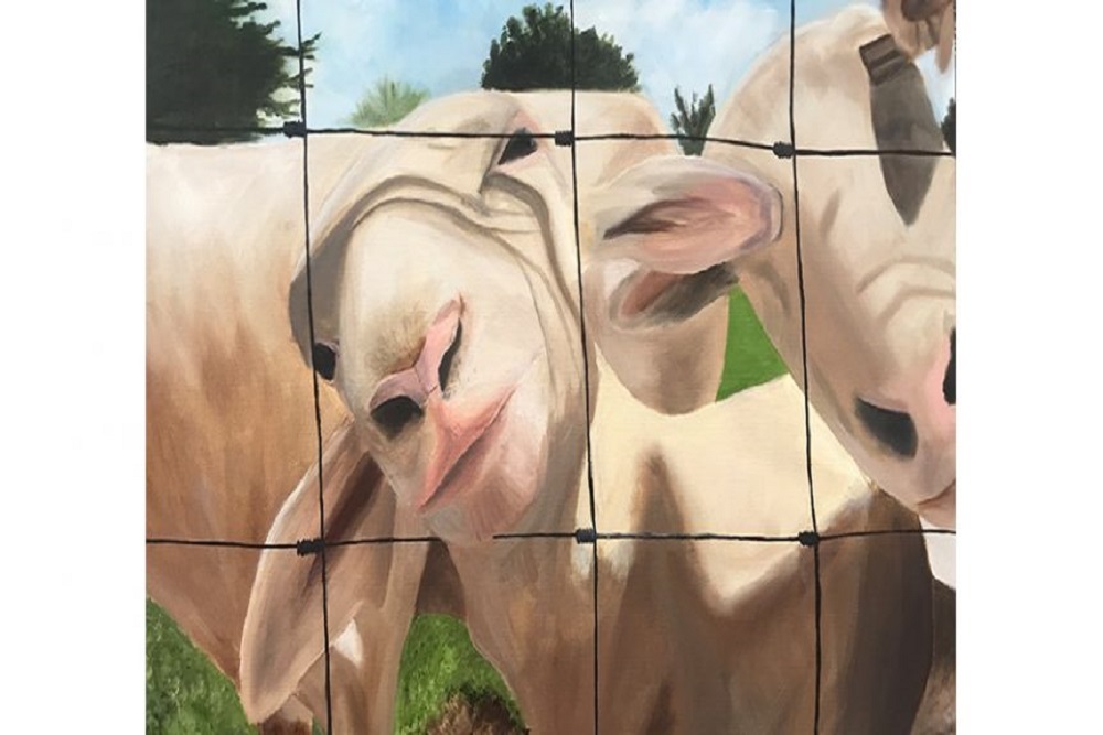 EPISCOPAL SCHOOL OF JACKSONVILLE: A.P Draw, Paint, Print Senior Spotlight Interview: Ally Raudenbush