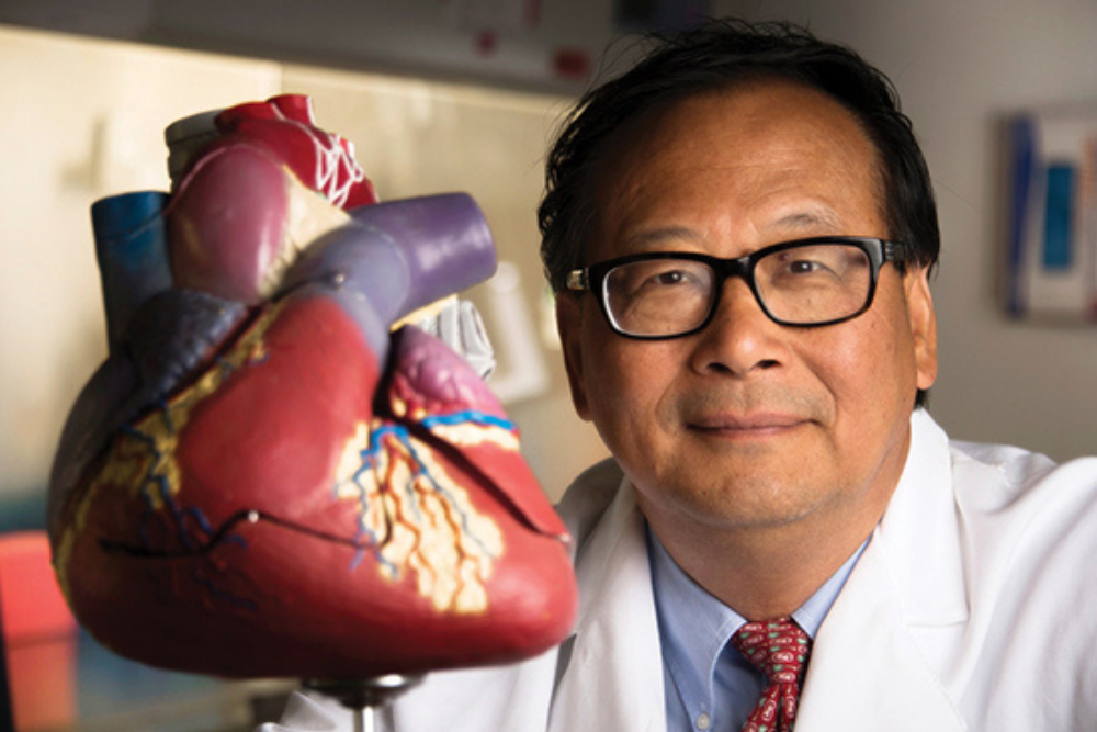 Changed gene expression after heart surgery extends cardiomyocyte regeneration Changed gene expression after heart surgery extends cardiomyocyte regeneration