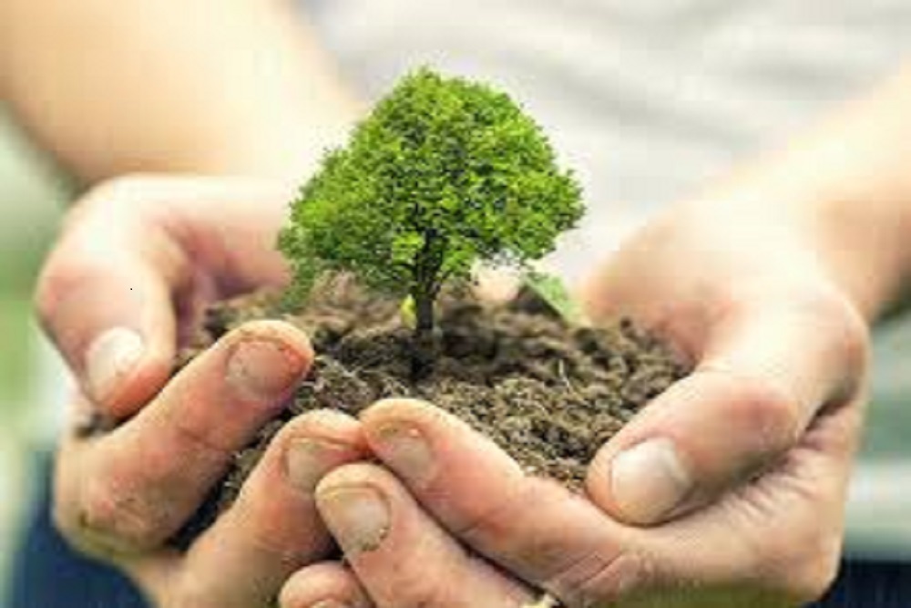 CITY OF NEW BERN: Arbor Day Celebration