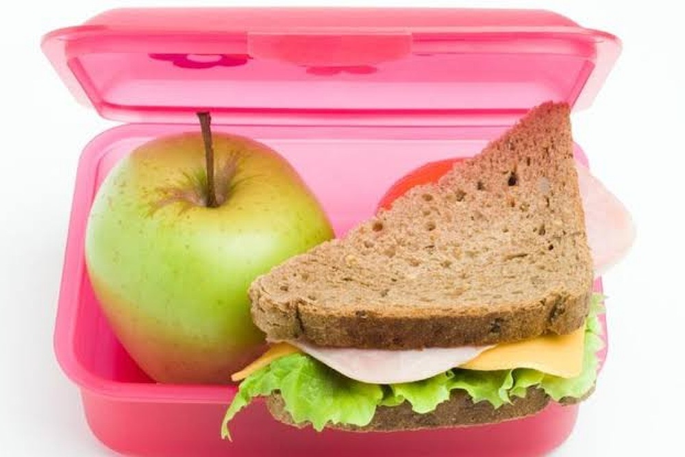 CANNON FALLS ELEMENTARY SCHOOL: A HUGE thank you and shout-out to the Cannon Falls Fire Department and Cannon Falls VFW for their generous donations to rescue our meal trays!