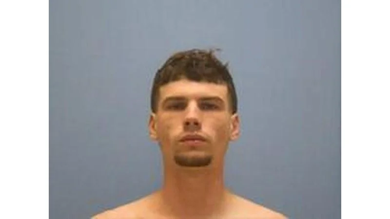 1 domestic booking reported in Mississippi County on July 23