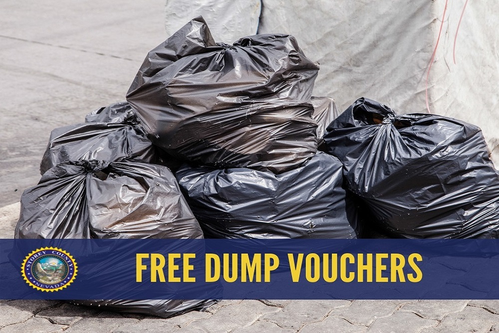 Free Dump Vouchers