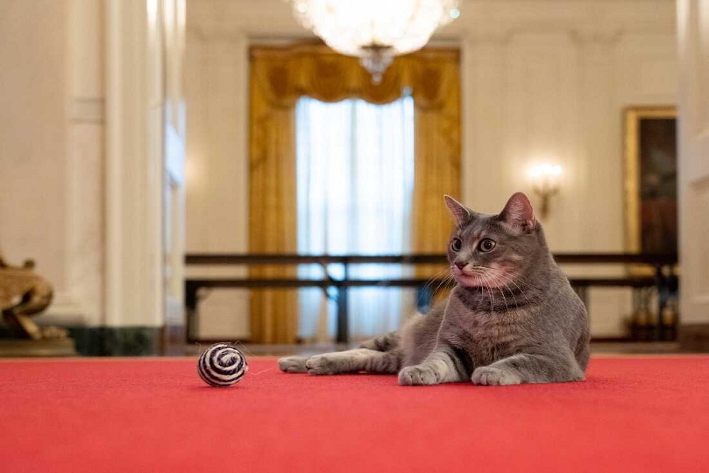 Meet our New President – Kitty to be held May 11 Meet our New President – Kitty to be held May 11