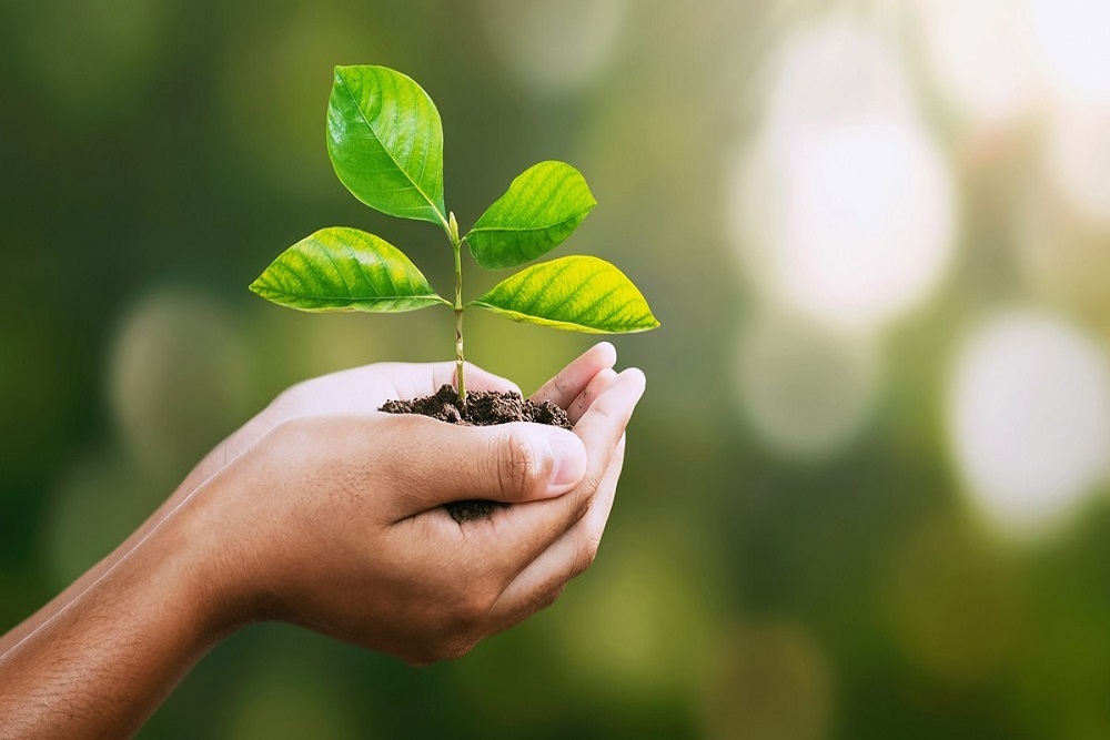 Santa Fe County Earth Day Celebrations