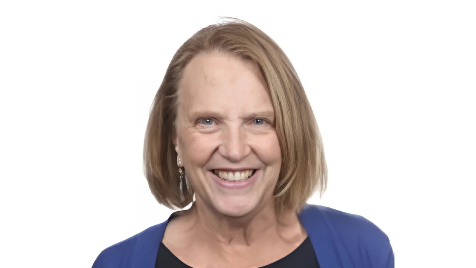 Elizabeth M. Schmidt, Professor Elizabeth M. Schmidt, Professor