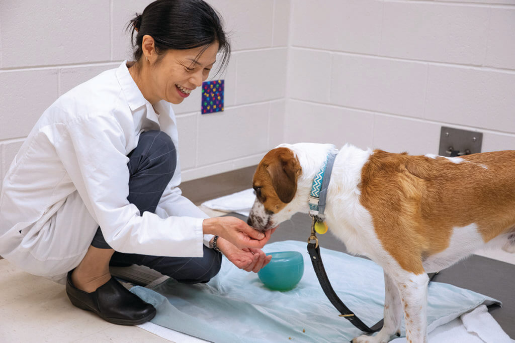 New Grant Funds Purdue Study that Uses Brain Imaging to Measure Human-Dog Interaction New Grant Funds Purdue Study that Uses Brain Imaging to Measure Human-Dog Interaction
