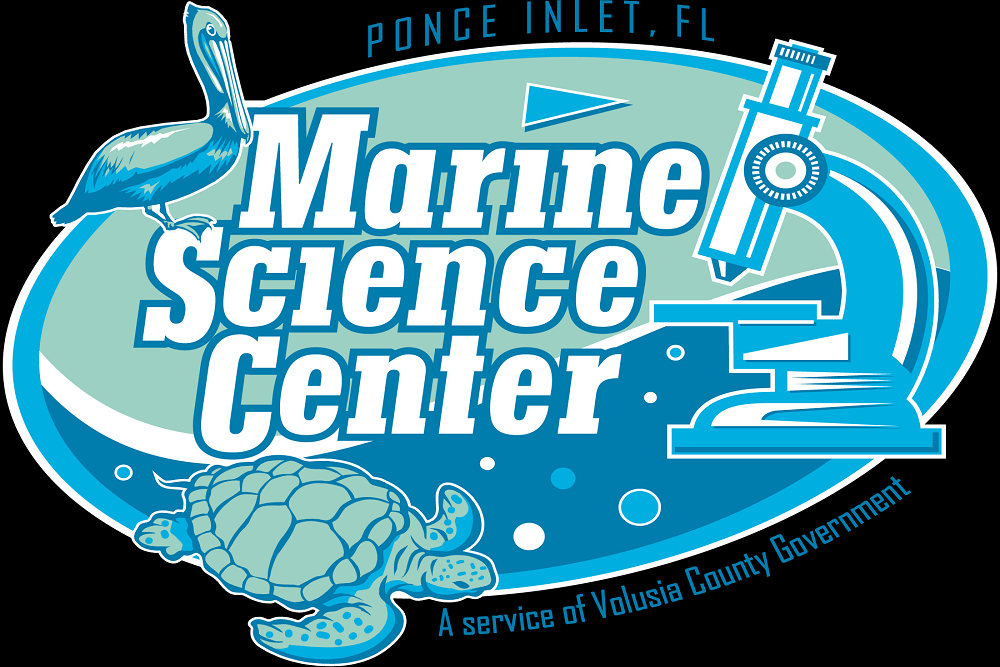 New bird habitat exhibit coming to the Marine Science Center New bird habitat exhibit coming to the Marine Science Center