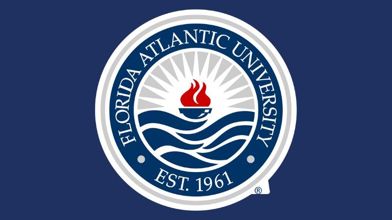 All Work, No Independent Play Cause Of Youth Declining Mental Health