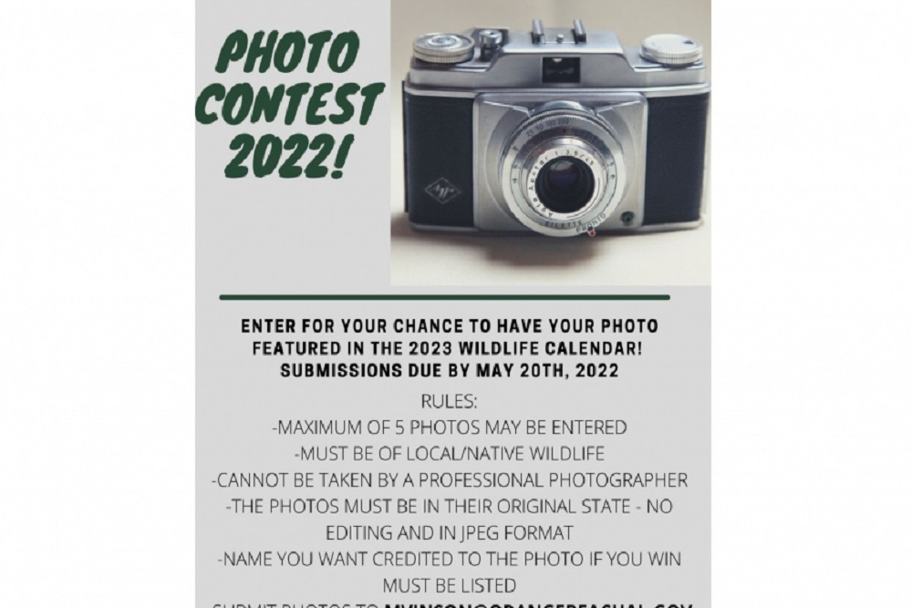 Orange Beach Wildlife 2023 Calendar Photo Contest underway Orange Beach Wildlife 2023 Calendar Photo Contest underway