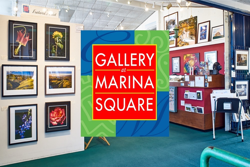 Second Saturday Artists Reception to be held May 15