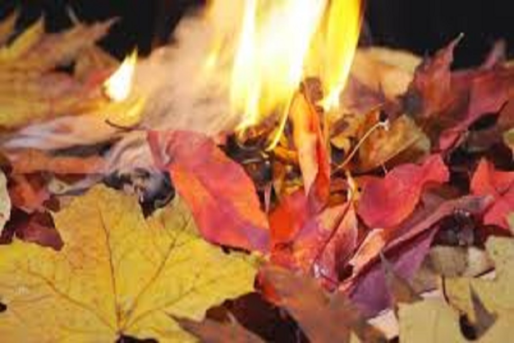 CITY OF COTTONWOOD: Public Notice Permits For The Open Burning Of Leaves