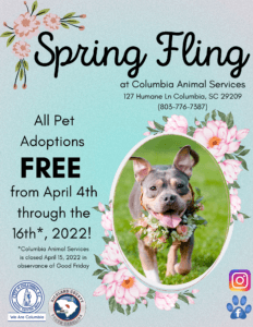 City of Columbia: Columbia Animal Services Offers Free Adoptions During Spring Fling