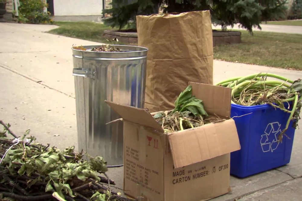 Yard Waste Collection on June 20