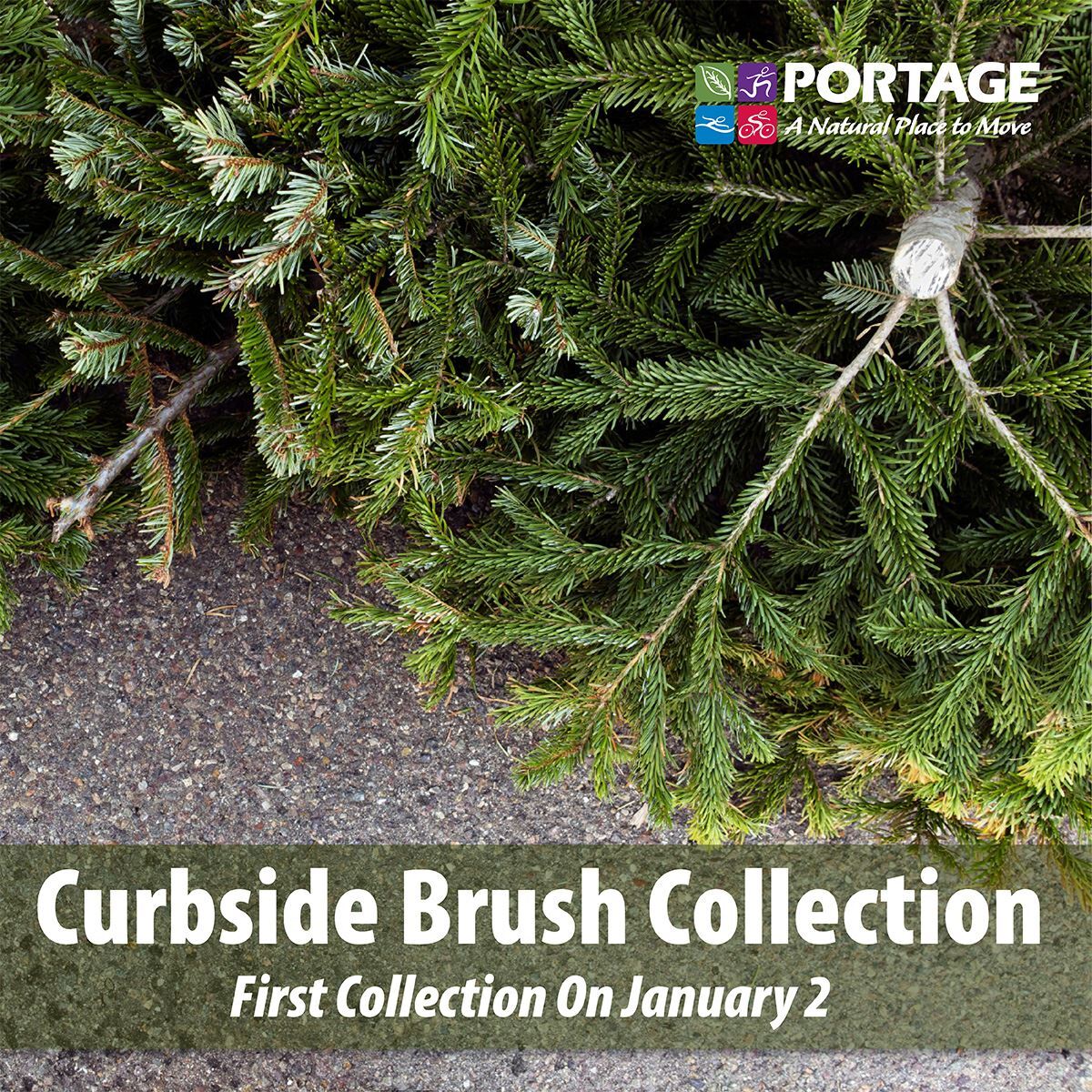 January Curbside Brush Collection Program