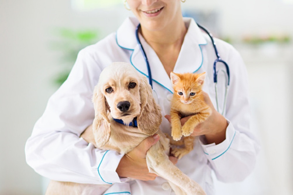 Rabies Clinic – October 23