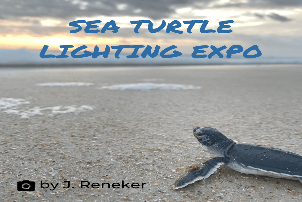 All invited to Sea Turtle Lighting Expo on Friday, May 27