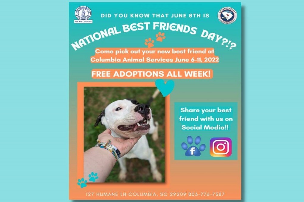 Free Pet Adoptions for National Best Friends Day