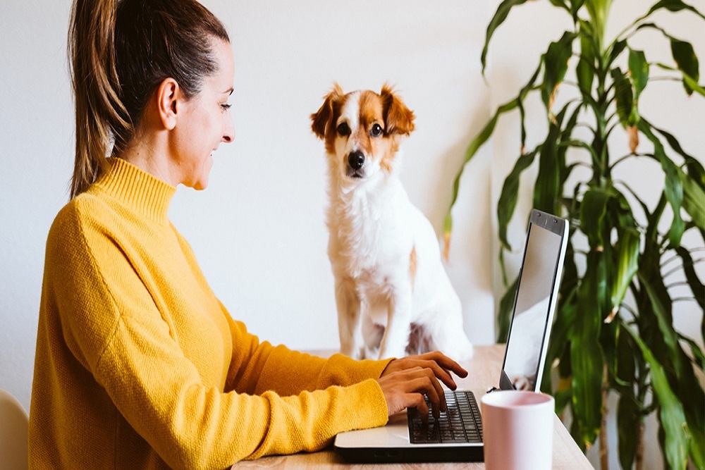 CENTRAL PENN COLLEGE: How to stay sane and be productive while working from home