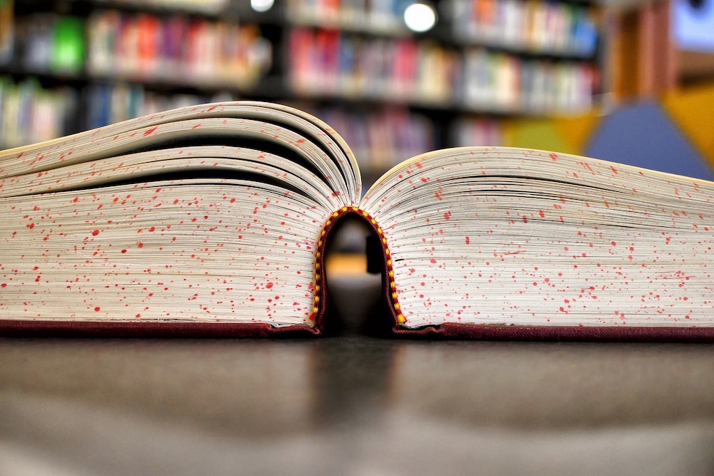 University Recognized in National Rankings