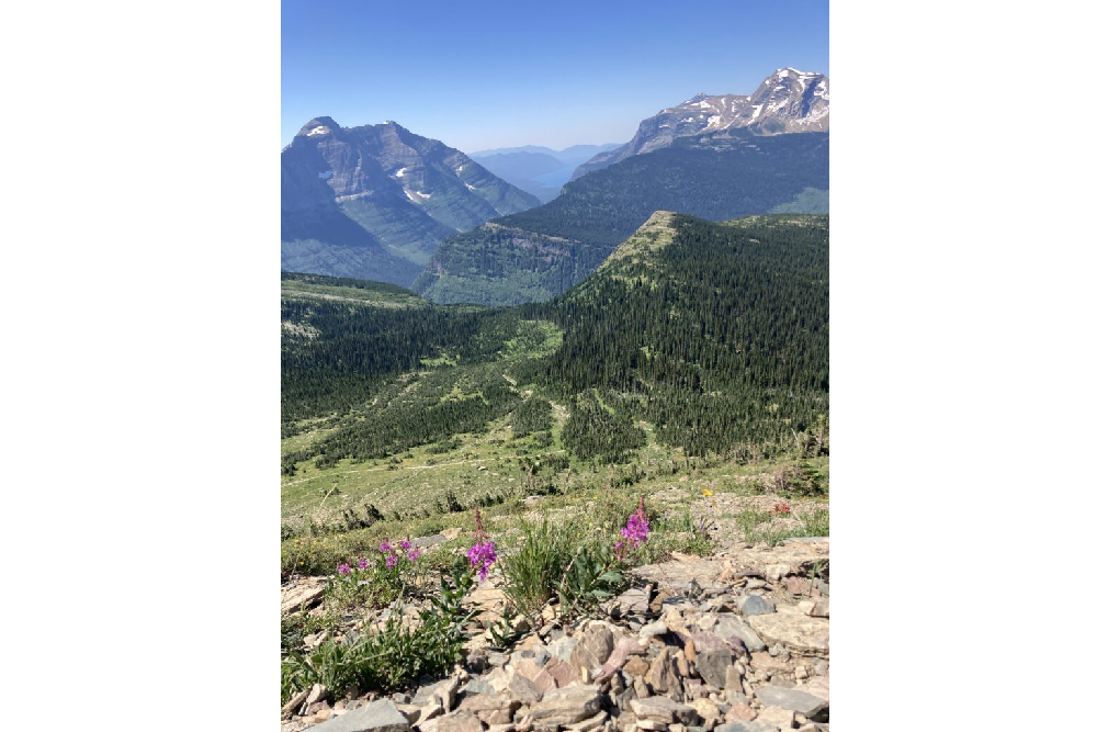 Glacier National Park Has Announced Its 2022 Artists in Residence
