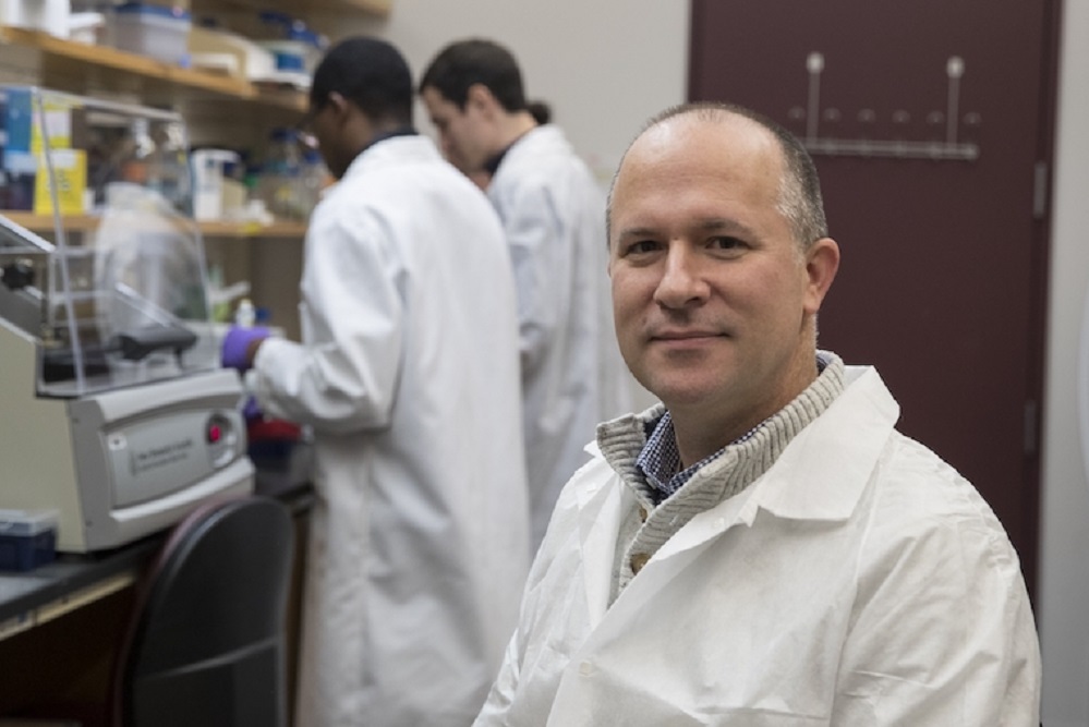 Powerful Computer Models ID Weaknesses in Deadly C. difficile