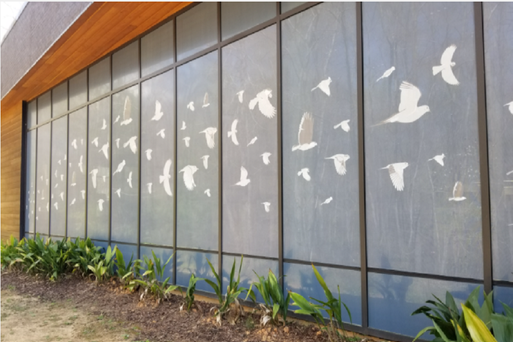 Richland County: Grant from Richland County Helps Irmo Library Go Bird-Friendly
