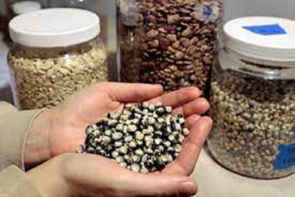 Richland County: Free Seeds Available as County Expands Conservation Initiative