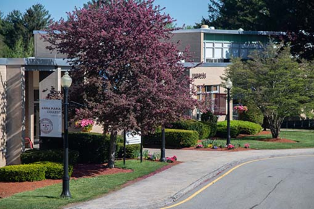 Statement on the Future of the Anna Maria College Music Programs