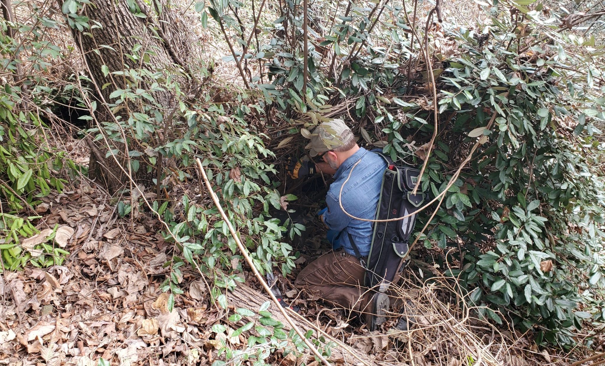 Forestry, Wildlife, and Natural Resources Success Stories