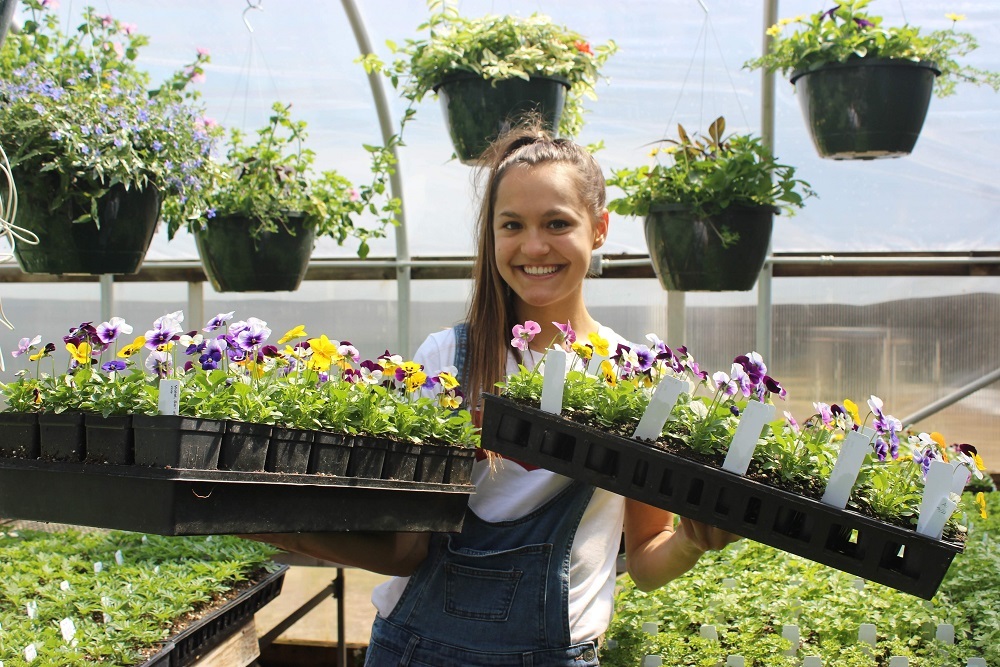 Hennepin Technical College: Landing a dream job as a landscape designer